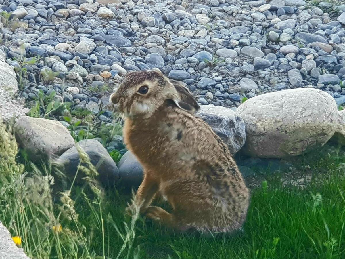 Hotel Casa Verde Puerto Natales Zewnętrze zdjęcie