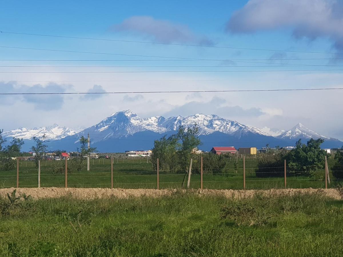 Hotel Casa Verde Puerto Natales Zewnętrze zdjęcie